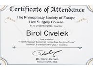 Birol 4
