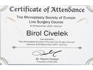 Birol 4