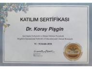 Koray 3