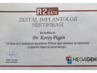 Koray 4