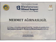 Mehmet Ağırnaslıgil 1